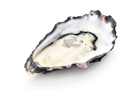 Ferienhaus Bretagne Auster